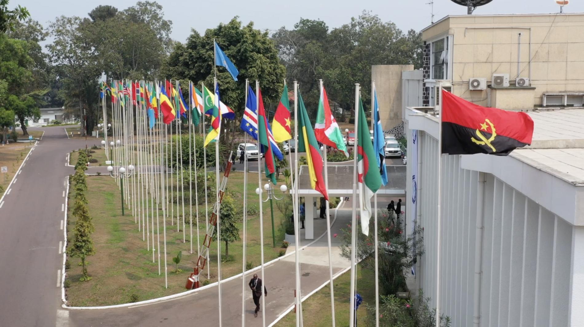 Eleição Do Novo Director Regional Da OMS Para A África: Fórum Dos ...